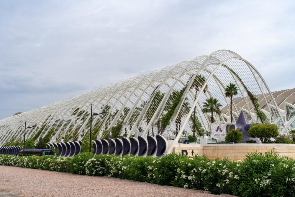 Natuur in Valencia