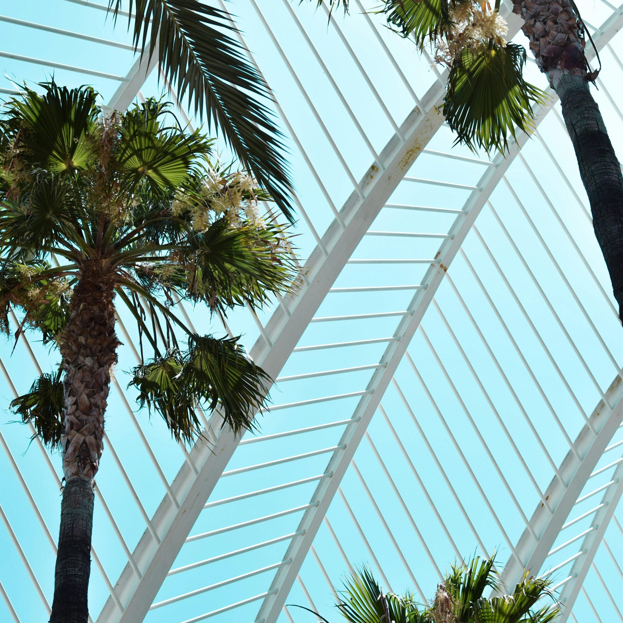 l'Umbracle easthetic